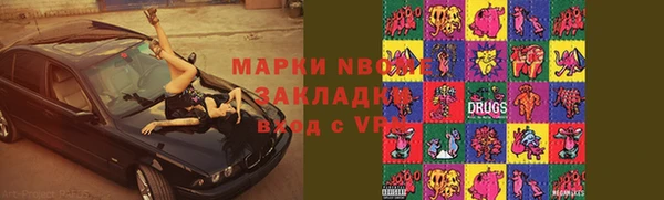 шишки Аркадак