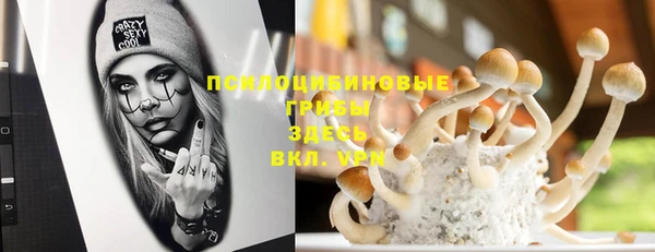 мет Армянск