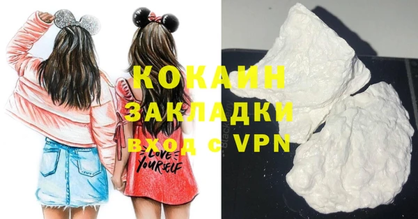 шишки Аркадак