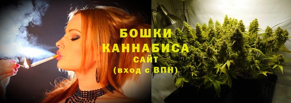 шишки Аркадак