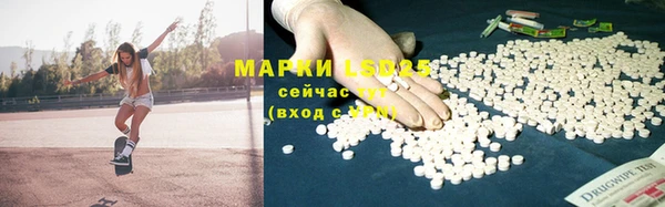 шишки Аркадак