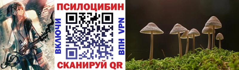 Псилоцибиновые грибы ЛСД  Купить  Шуя 