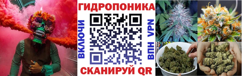 Шишки марихуана ГИДРОПОН  Купить закладки  Шуя 
